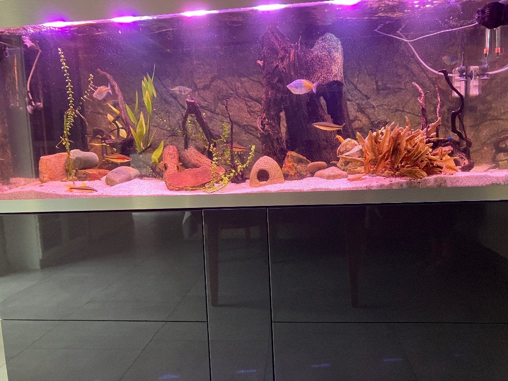 Aquarium, Ophalen, Zo goed als nieuw