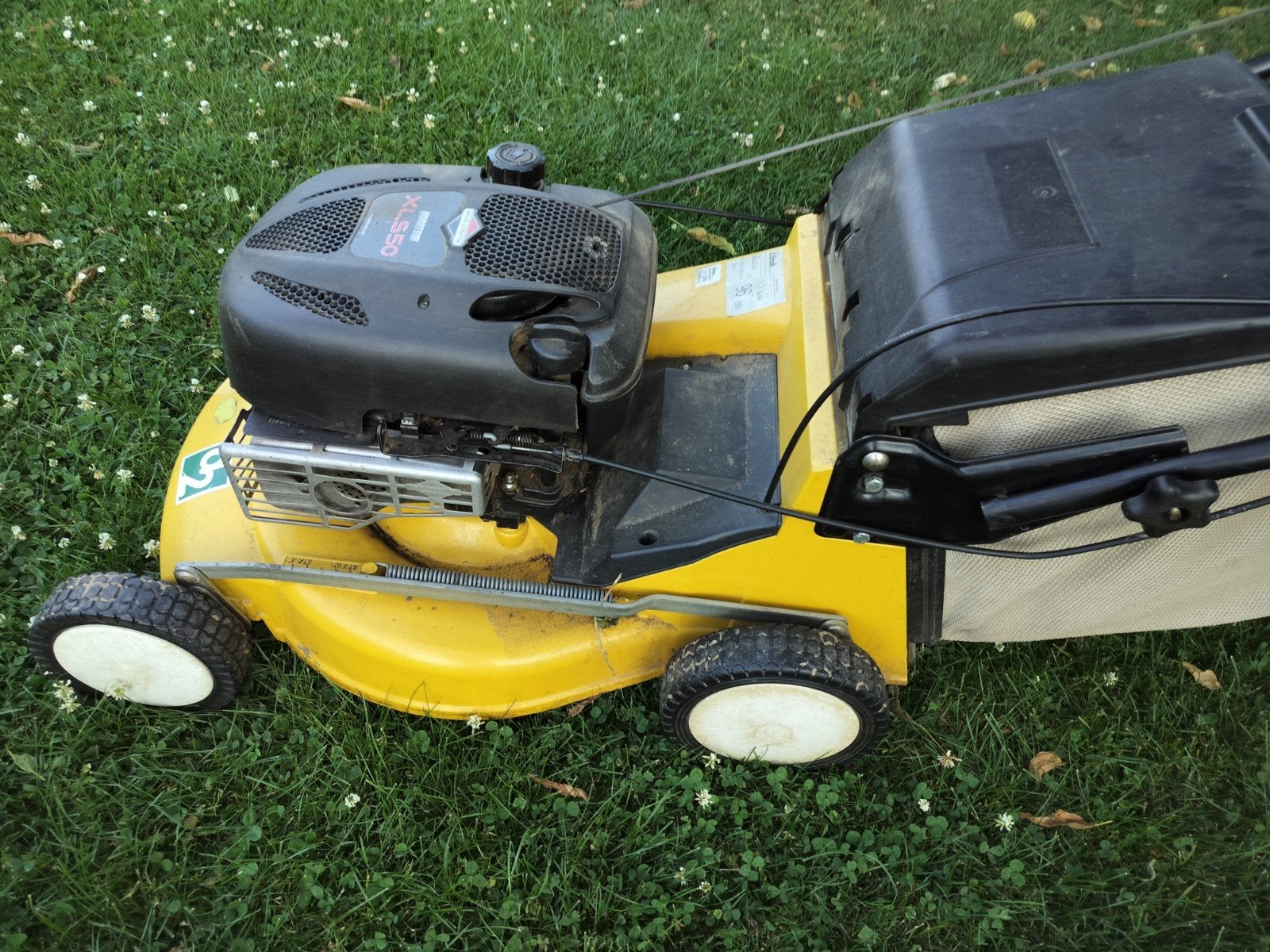 Tondeuse Autotractée avec moteur Briggs et stratton, Enlèvement