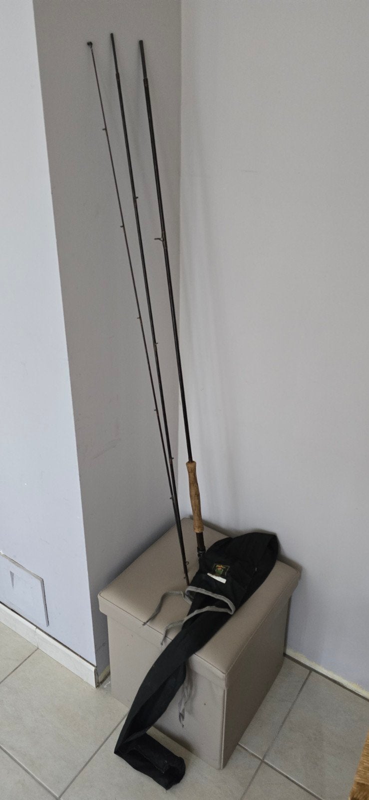 canne à mouche Daiwa 11' # 4/7, Tuin en Terras