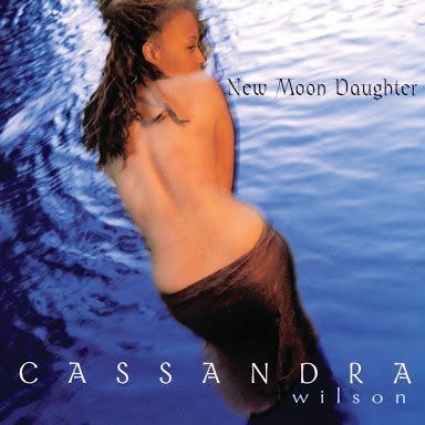 CD EN VENTE CASSANDRA WILSON - New Moon Daughter, CD & DVD, CD | Jazz & Blues, Blues, Envoi