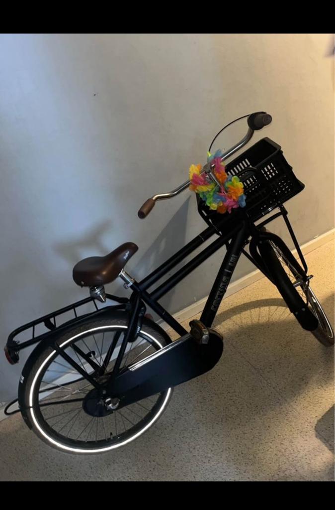 Fiets, Fietsen en Brommers, Ophalen of Verzenden
