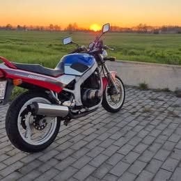 Suzuki GS500E van 1991, Motoren, Motoren | Suzuki, 2 cilinders, Gebruikt, Minimaal motorrijbewijs A2, Handgeschakeld