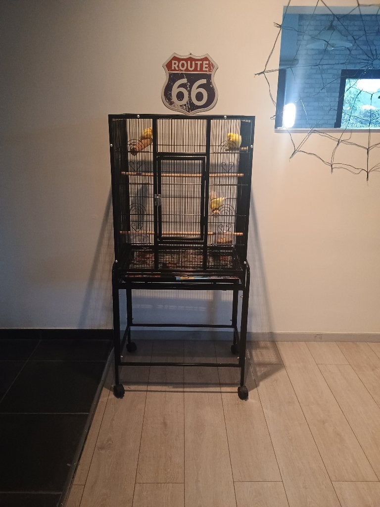 Dieren, Enlèvement, Neuf