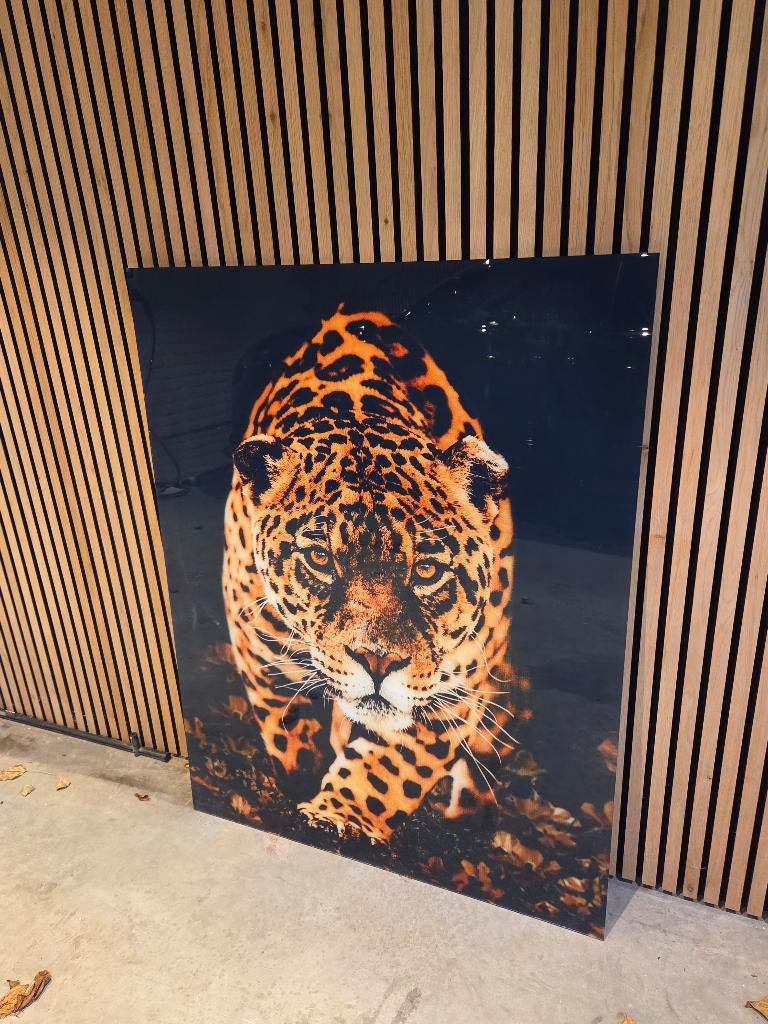 Luipaard (130cm x 100cm), Huis en Inrichting, Ophalen, 75 tot 100 cm, 75 cm of meer, Print