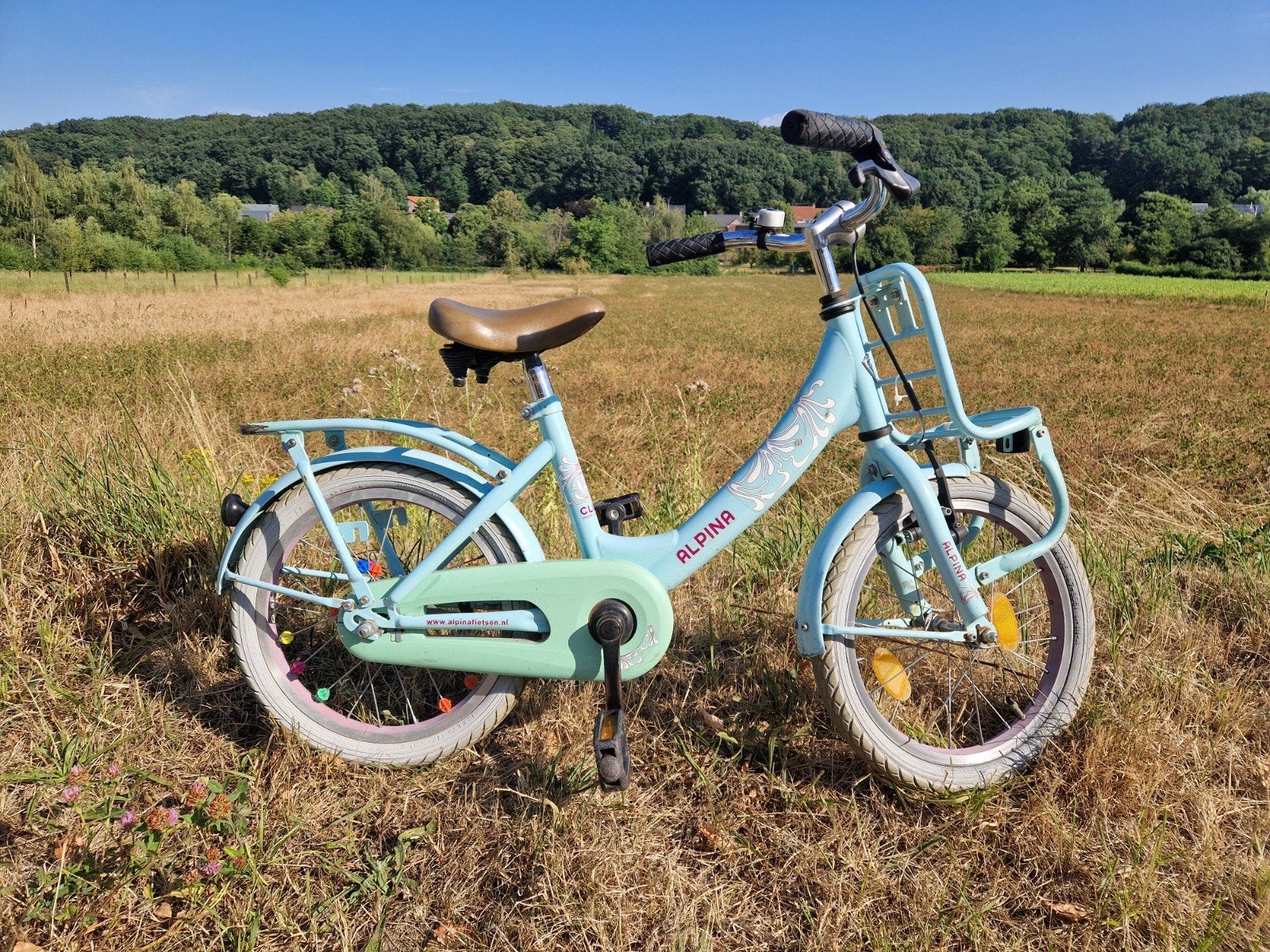 kinderfiets 24 inch voor 3 tot 6 jaar, Fietsen en Brommers, Ophalen, Terugtraprem, 24 inch, Handrem