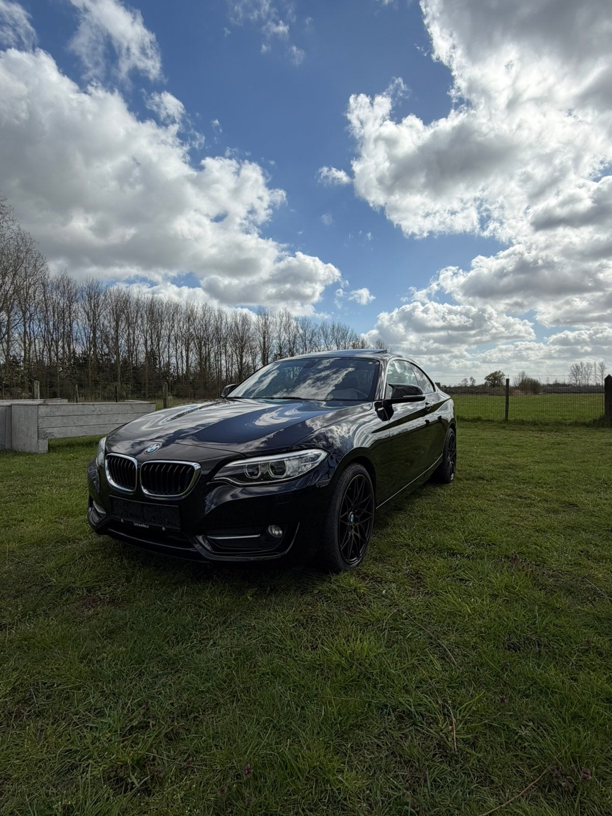 BMW 228i xDrive (2016) – Slechts 78.900 km – Sportieve Coupé, Autos, Cuir, Euro 6, 1700 kg, Éclairage LED
