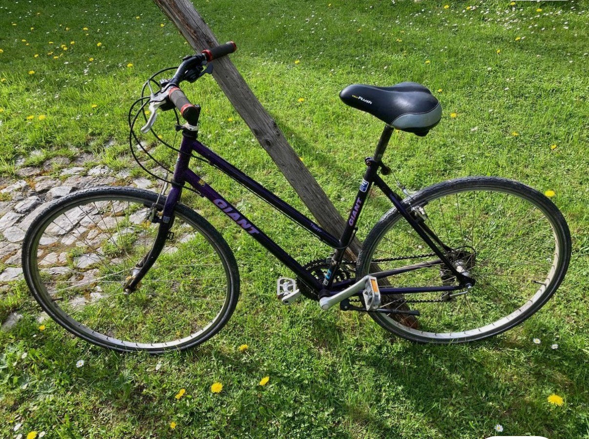 Schitterende Giant 28 inch 21-speed fiets als nieuw, Fietsen en Brommers, Fietsen | Dames | Damesfietsen, Ophalen, Zo goed als nieuw