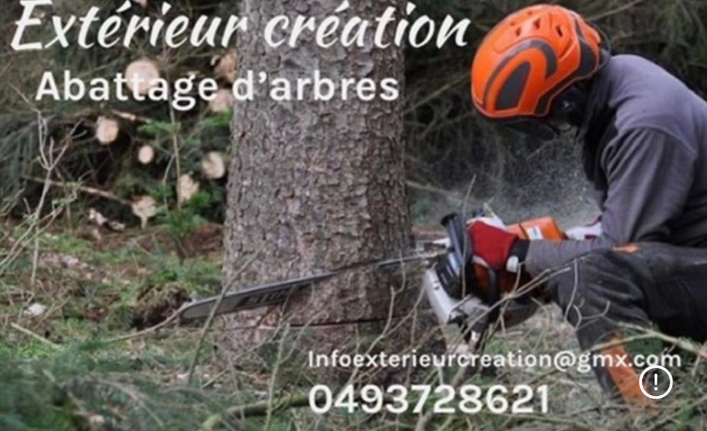 Abatage , Dessouchage, Enlèvement