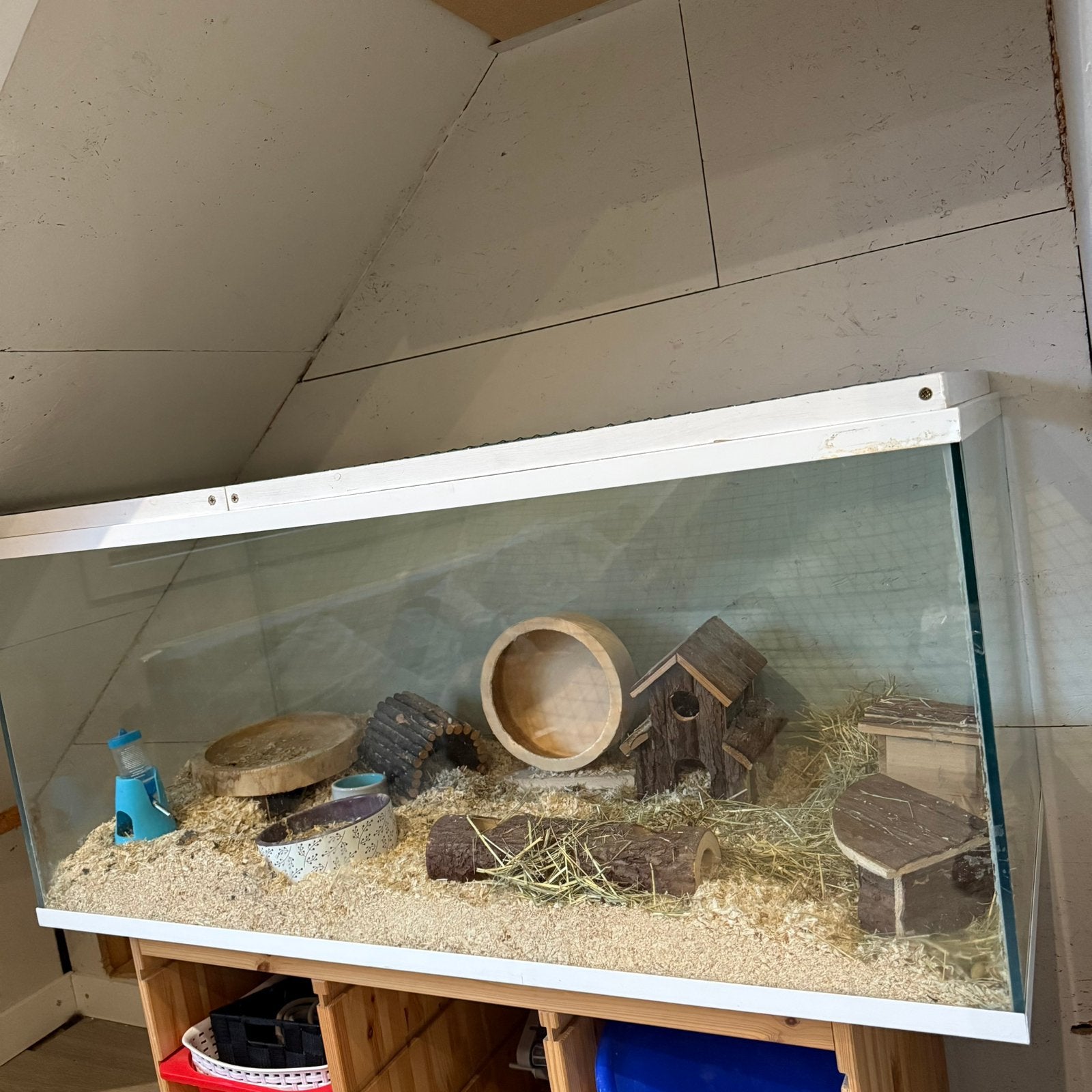 Aquarium, Ophalen of Verzenden, Zo goed als nieuw, Hamster