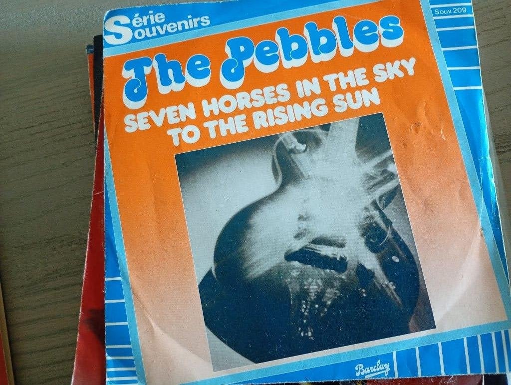The Pebbles - Seven horses in the sky, Cd's en Dvd's, Gebruikt, Verzenden, 7 inch, Fotohoes