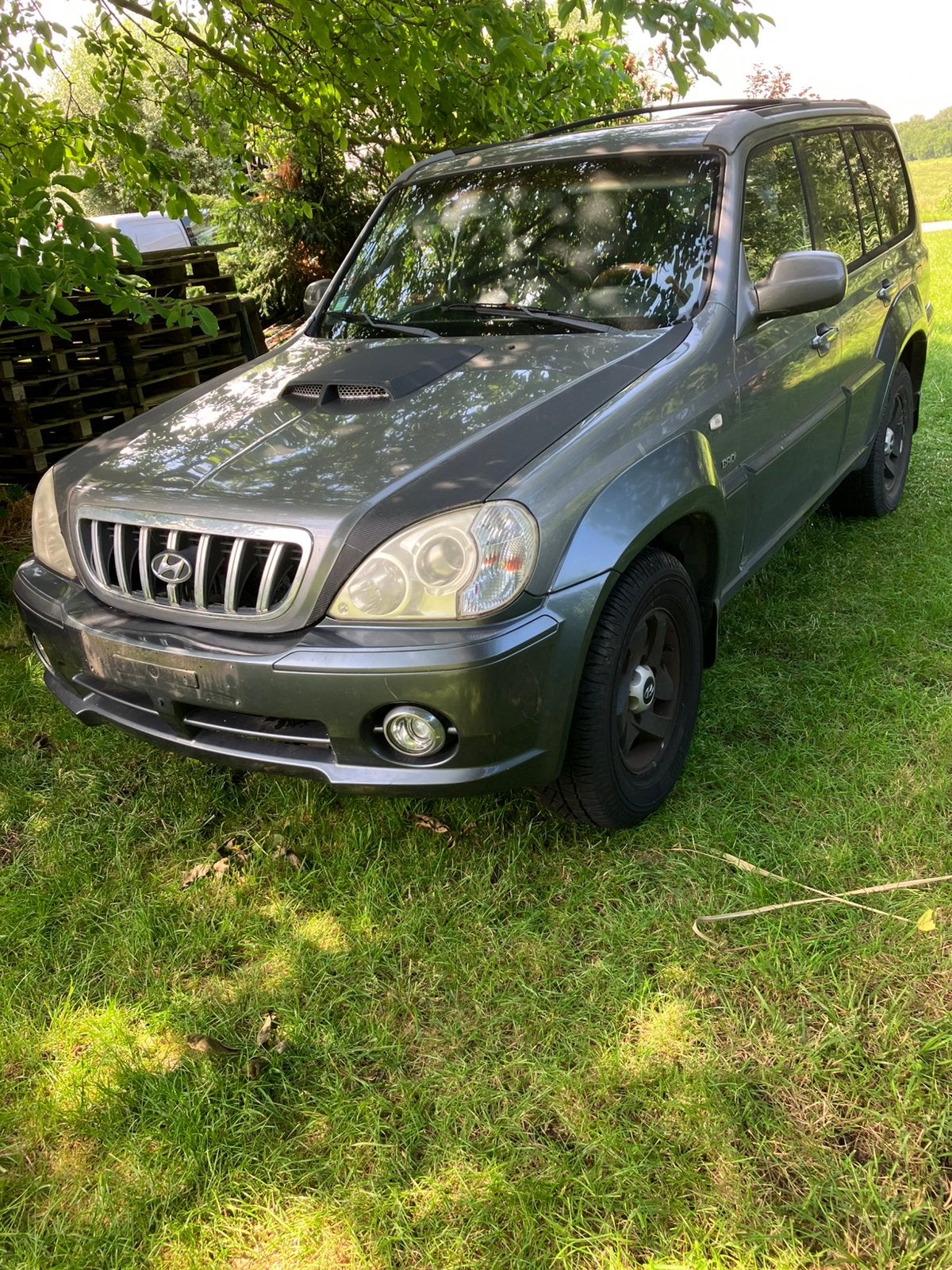 HYUNDAI TERRACAN 2,9TDI 2004 UTILITAIRE 2pl, Autos, Cuir, Argent ou Gris, 110 kW, 2 places