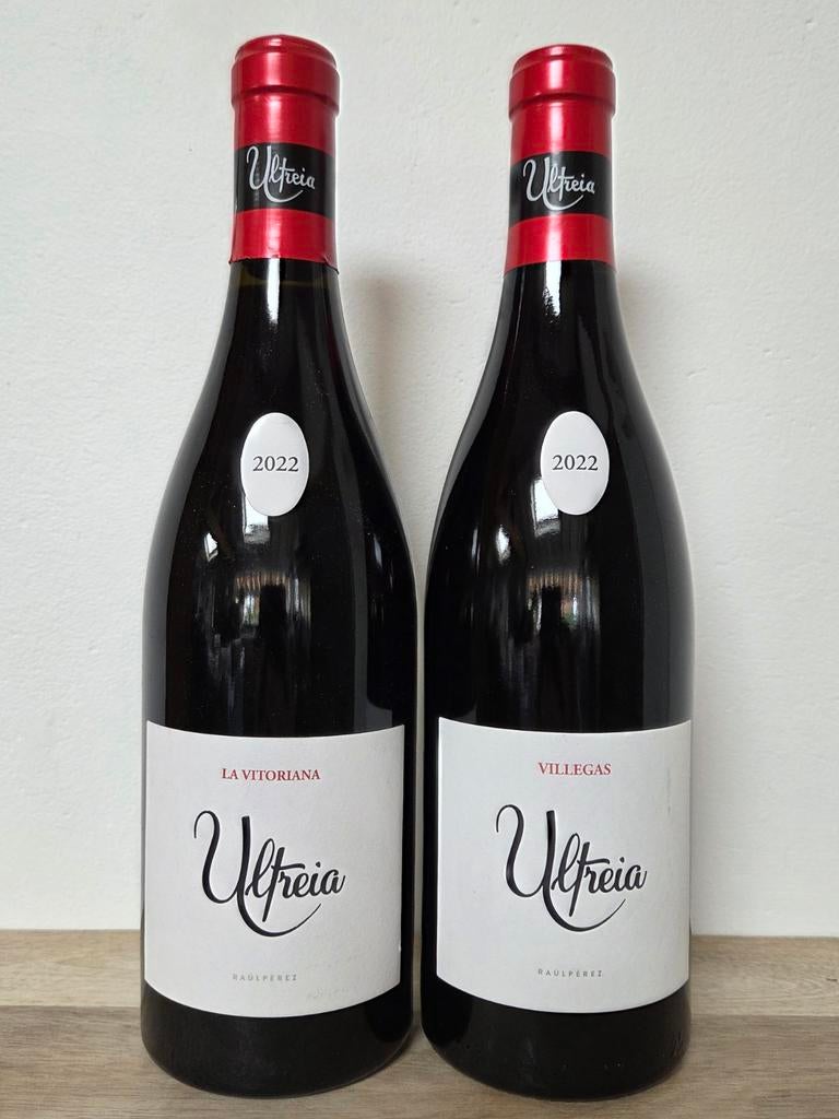 Duo Raul Perez Ultreia 2022 - 'La Vitoriana' en 'Villegas', Ophalen of Verzenden