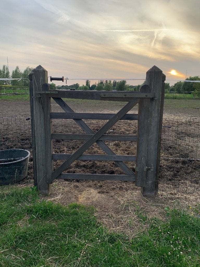 Weide poort, Dieren en Toebehoren