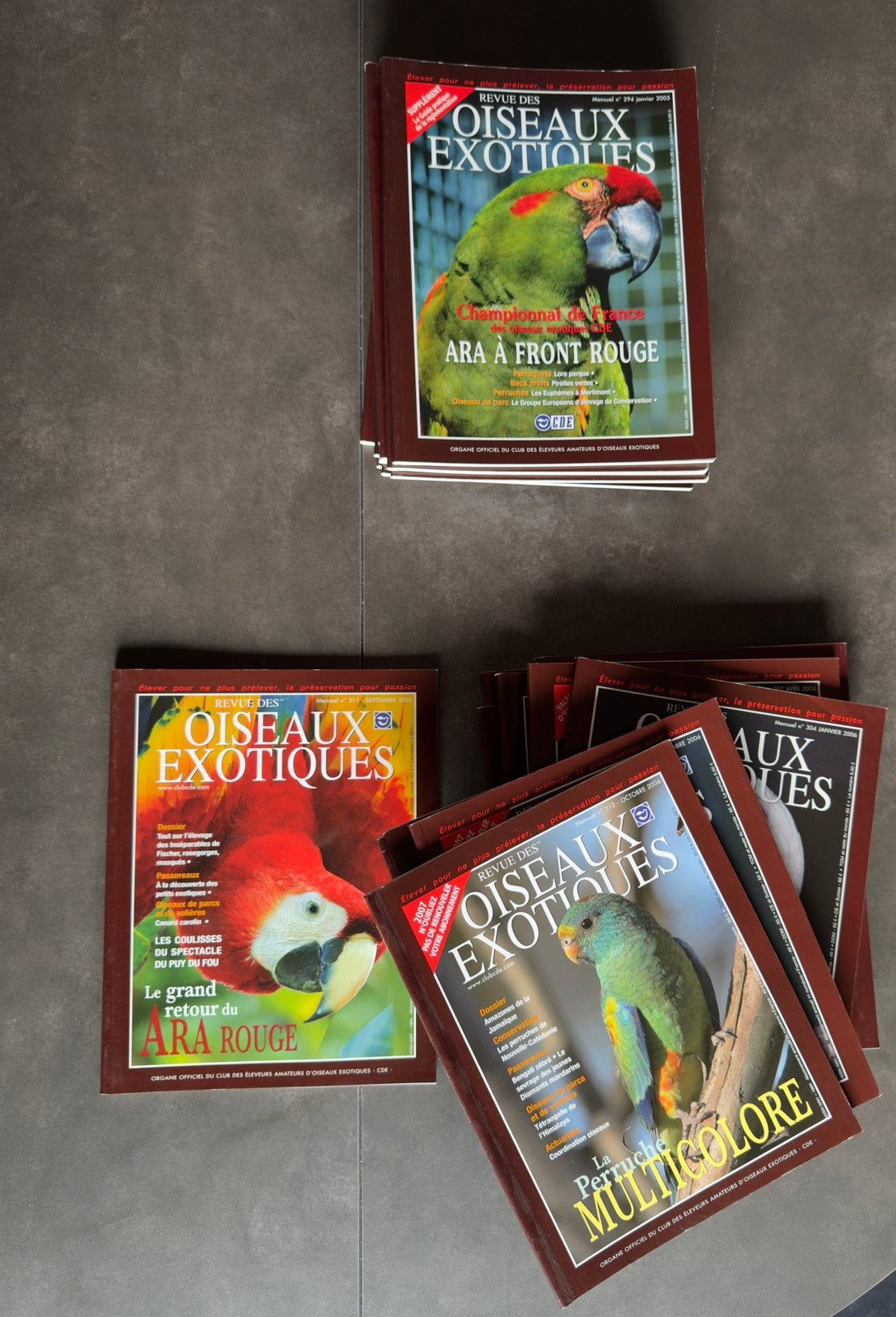 Lot 21 revues Oiseaux Exotiques (CDE) - Élevage, Enlèvement, Utilisé, Livre d'images