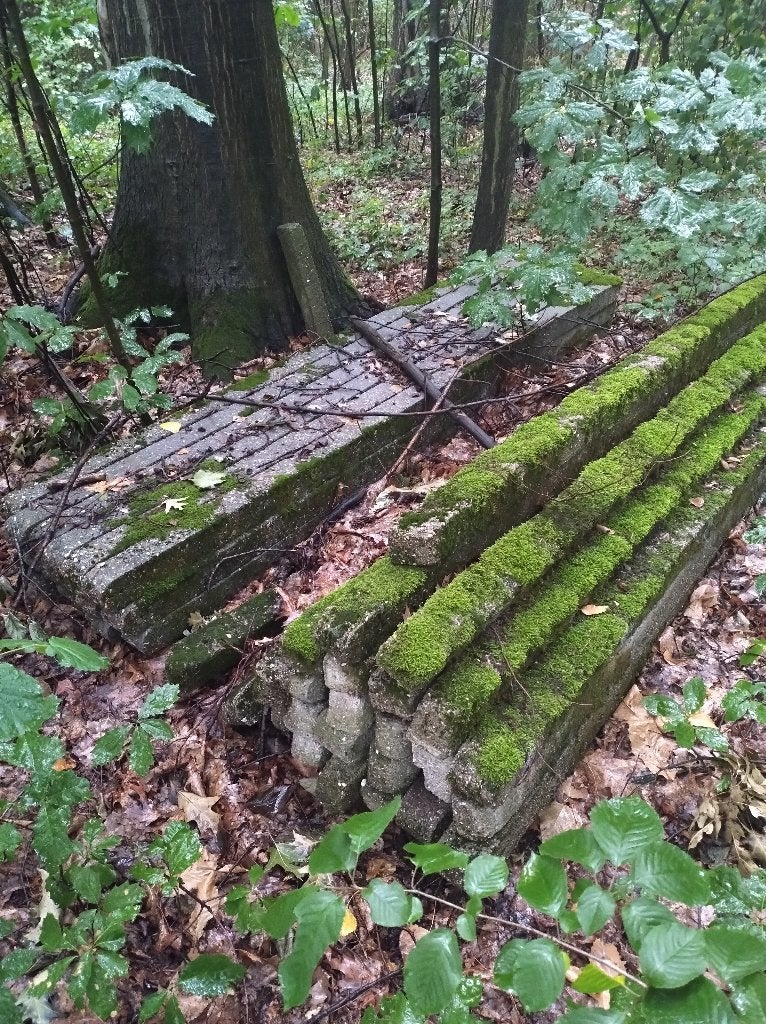 Gratis betonpalen, Tuin en Terras, Ophalen