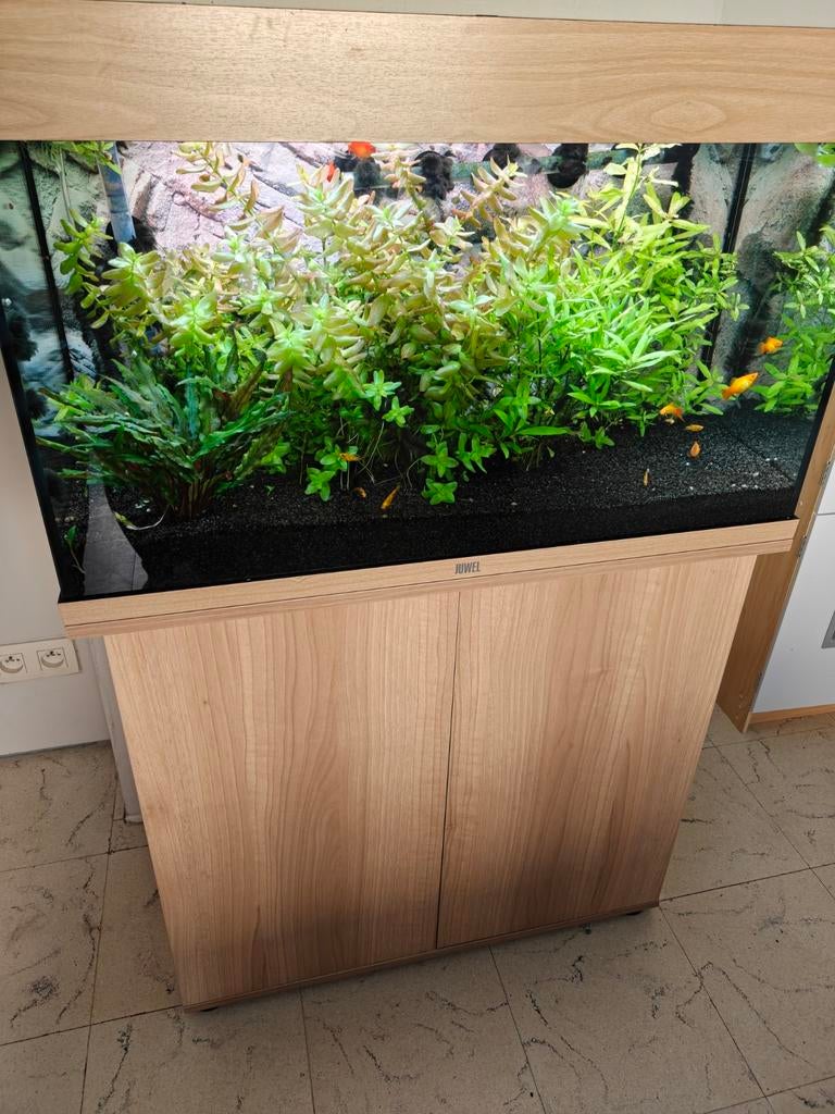 Juwel Rio 125 licht eiken, Dieren en Toebehoren, Ophalen, Filter, Juwel