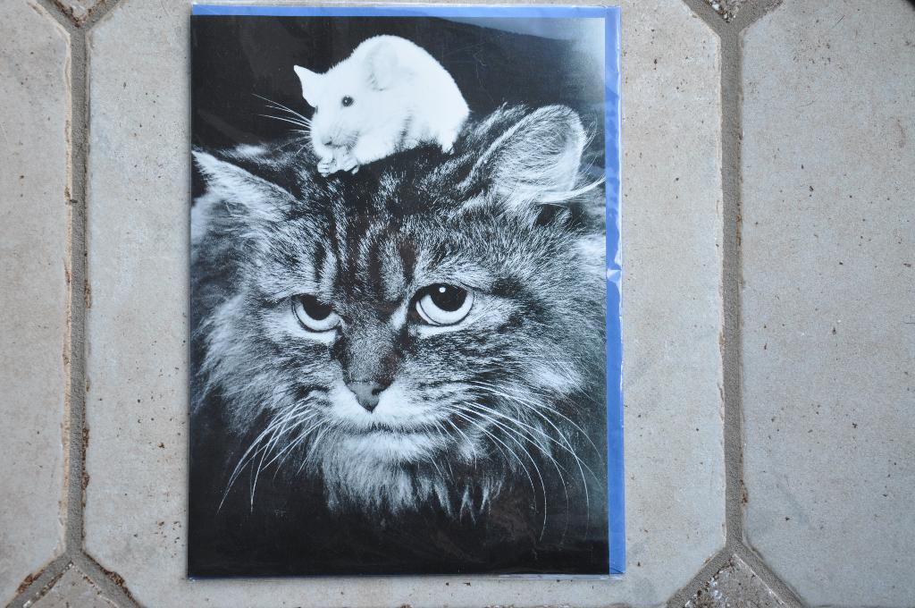 Grote Wenskaart KAT & MUIS, Divers, Cartes de voeux, Enlèvement ou Envoi