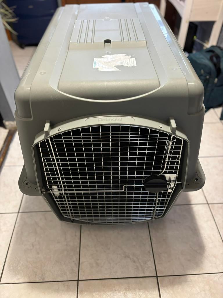 Grande cage IATA, Dieren en Toebehoren, Ophalen, Zo goed als nieuw