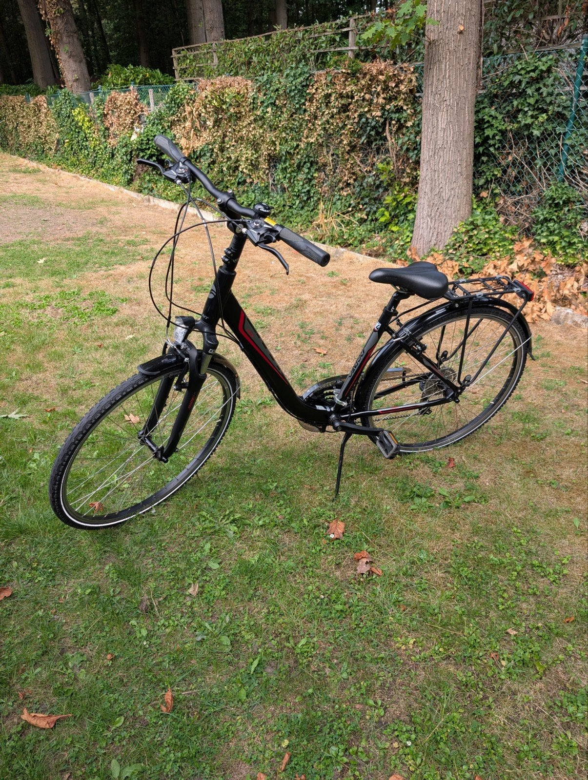 damesfiets, Ophalen, Velgrem, Versnellingen, Giant