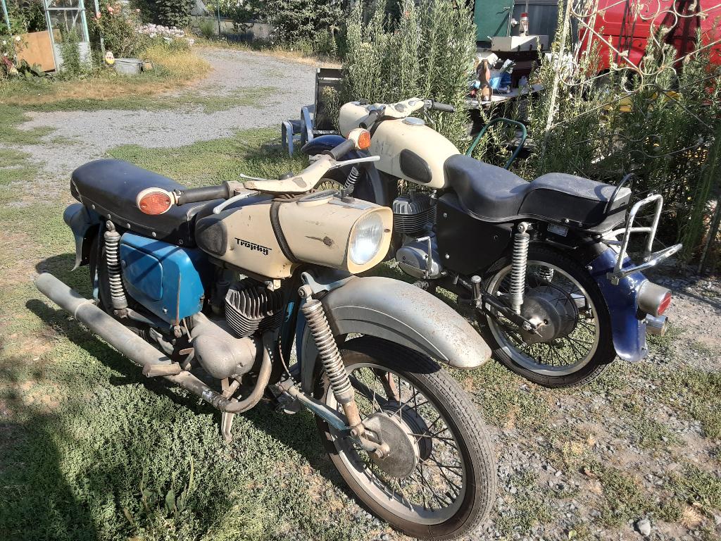 MZ