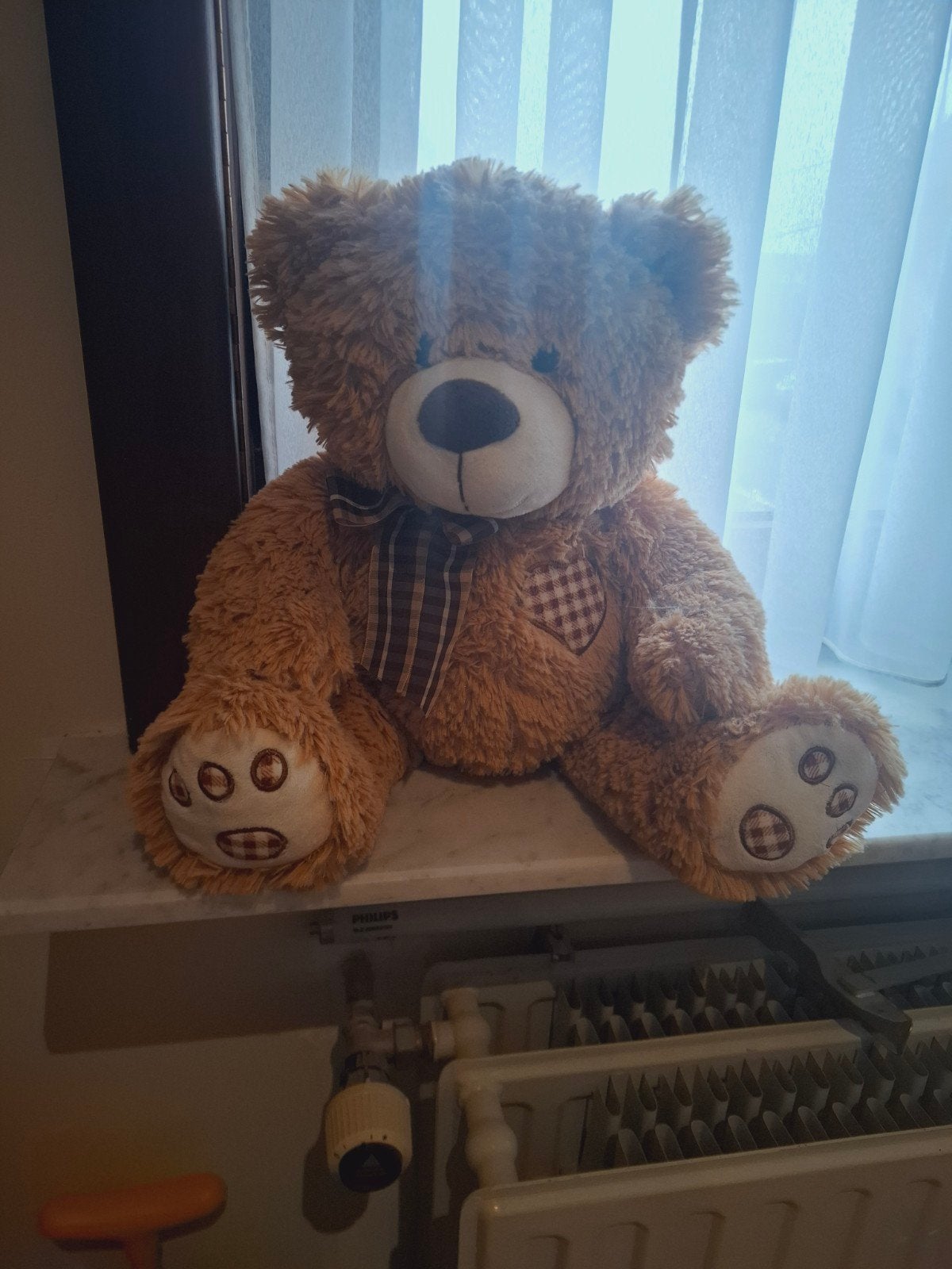 knuffel beer, Verzamelen, Ophalen