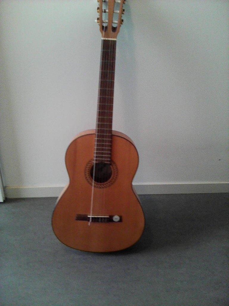 Gitaar "Hofner", Verzenden