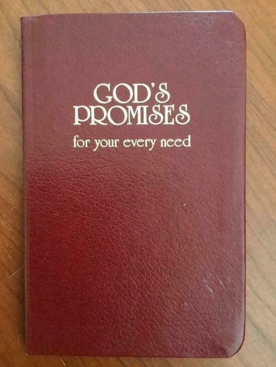 GOD’S. PROMISES. FOR YOUR EVERY NEED, Neuf