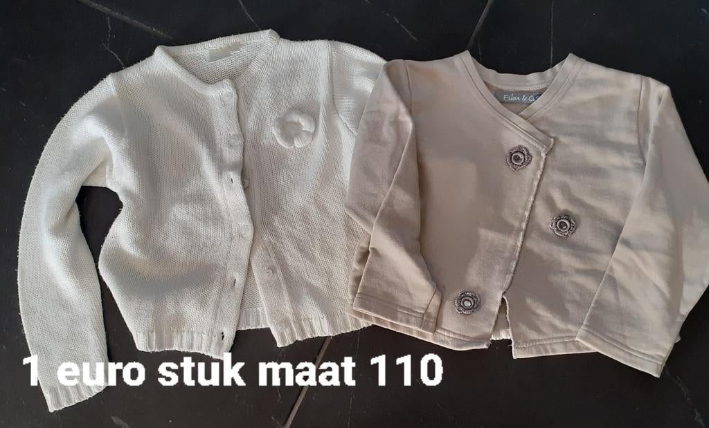 Winter truien meisjes maat 110. 1 euro stuk., Ophalen of Verzenden, Gebruikt