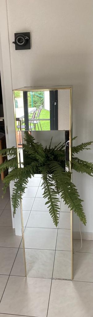 Glazen spiegel met licht en plant, Enlèvement, Comme neuf