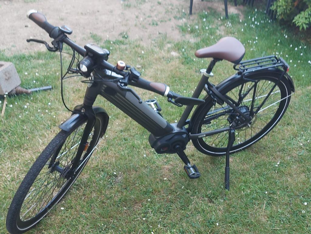 Gazelle Cityzen speed 380 pedelec 45kmh, Enlèvement ou Envoi, Utilisé, Gazelle