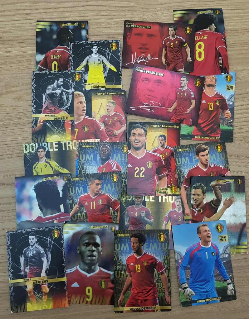 PANINI-XL, Carrefour FRANCE EURO 2016-trading cards-stickers, Ophalen of Verzenden, Zo goed als nieuw, Meerdere plaatjes