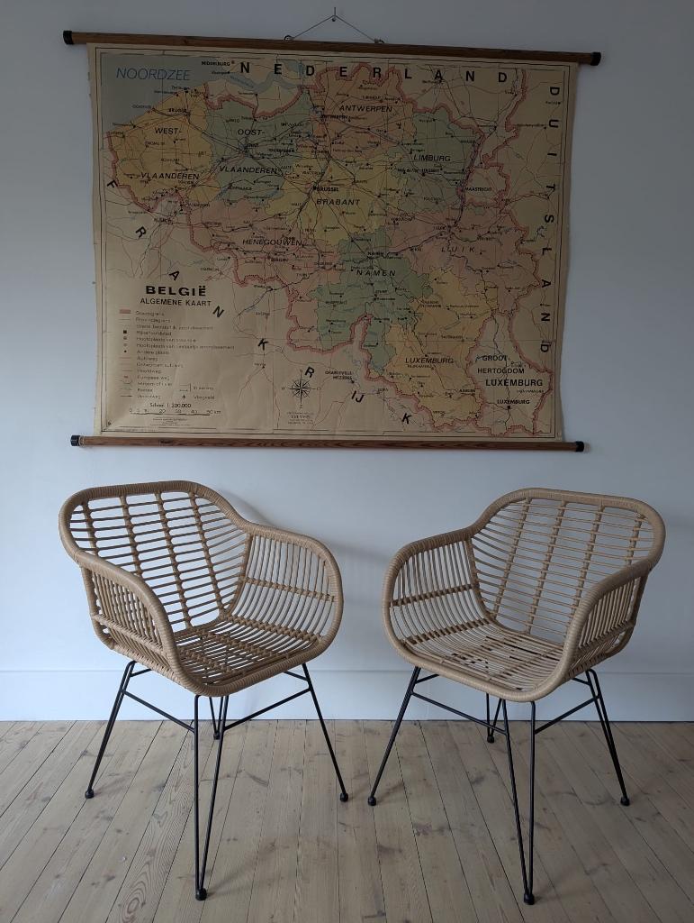 Stoelen met rotan look, Maison & Meubles, Chaises, Neuf, Deux, Synthétique, Métal, Osier ou Rotin, Brun, Enlèvement