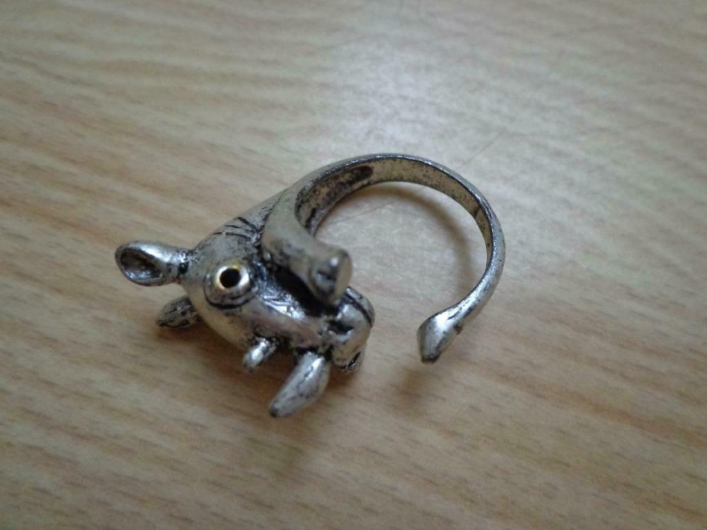 ring neushoorn, Ophalen of Verzenden