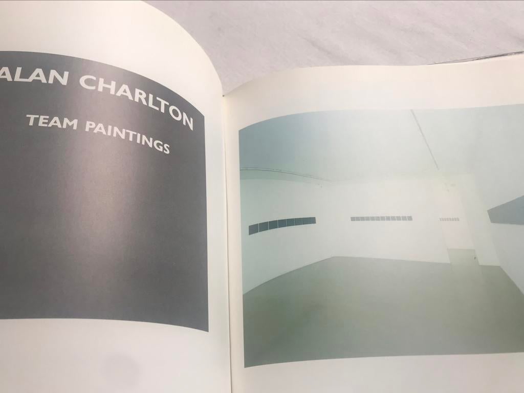 Peintures d'Alan Charlton, 100 pages, Enlèvement ou Envoi, Comme neuf, Peinture et dessin