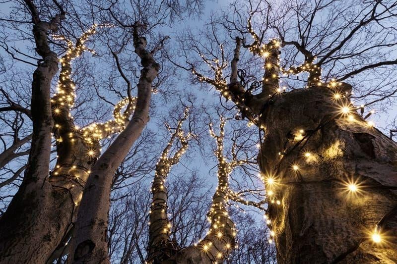 Tronix Tree Light Pro 12V 63mtr. Nieuw, Diversen, Kerst, Ophalen of Verzenden, Nieuw