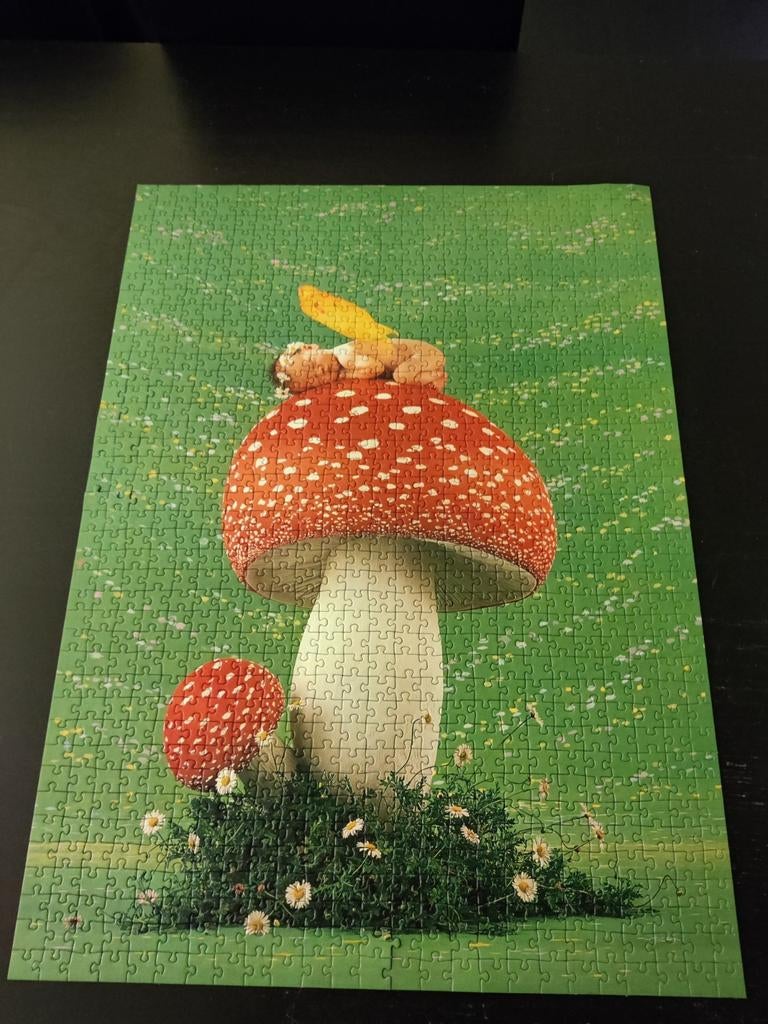 Anne geddes puzzel, Ophalen of Verzenden, Zo goed als nieuw