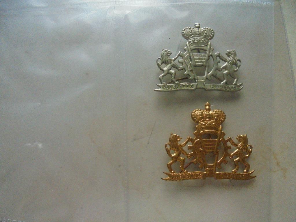 logistiek mutskenteken, Enlèvement ou Envoi, Armée de terre, Emblème ou Badge