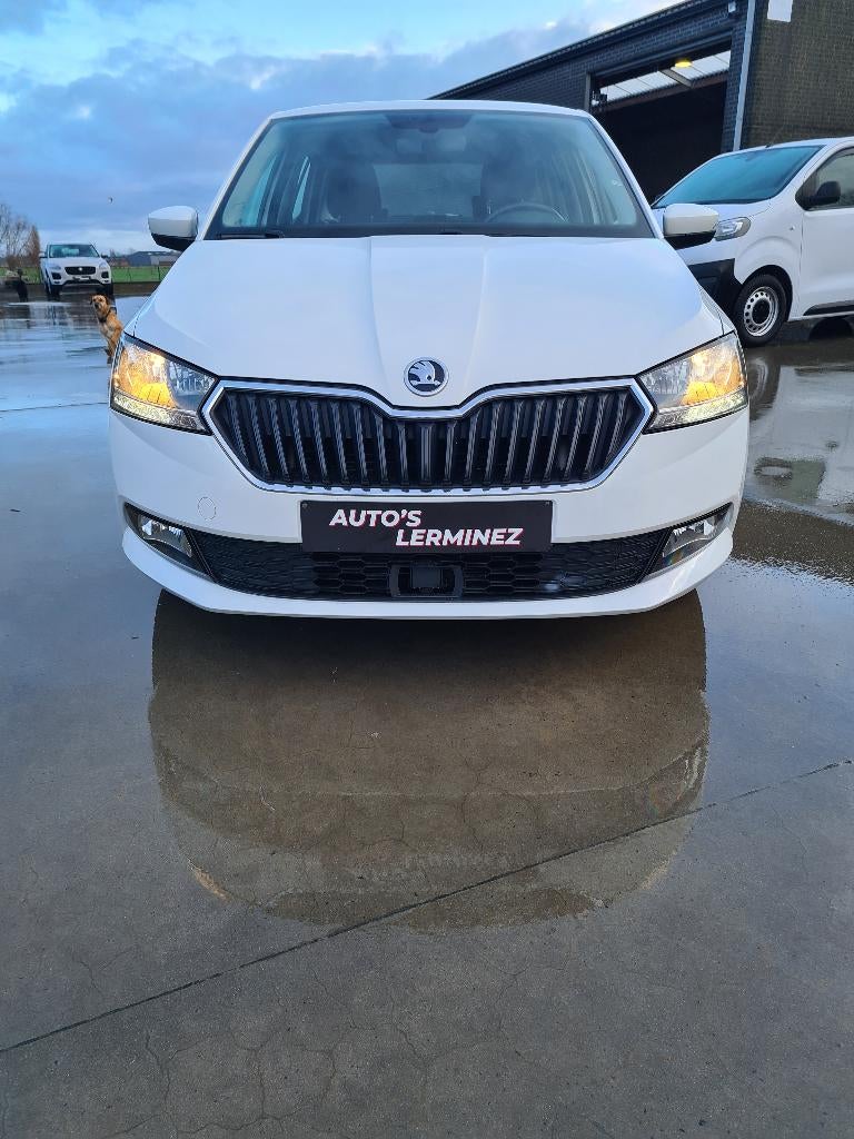skoda fabia business 1.0 benzine, Auto's, Skoda, Bedrijf, Fabia, ABS, Adaptive Cruise Control, Airbags, Airconditioning, Apple Carplay