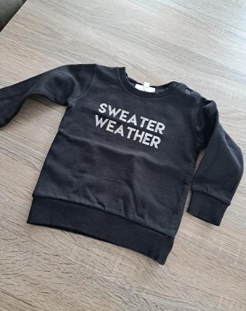 JBC sweater weather trui 74, Kinderen en Baby's, Babykleding | Maat 74, Ophalen of Verzenden, Zo goed als nieuw, JBC., Truitje of Vestje