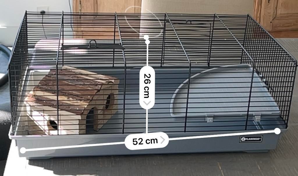 Kooi (52 cm bij 26 cm) bijna nieuw. Met alle spullen bij, Animaux & Accessoires, Rongeurs, Hamster, Domestique, Janvier, Sexe inconnu