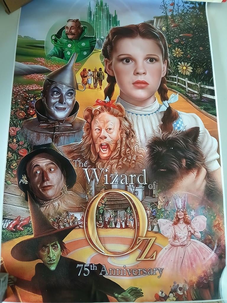 THE WIZARD VAN OZ CANVAS DOEK 30 OP 45 CM, Ophalen of Verzenden