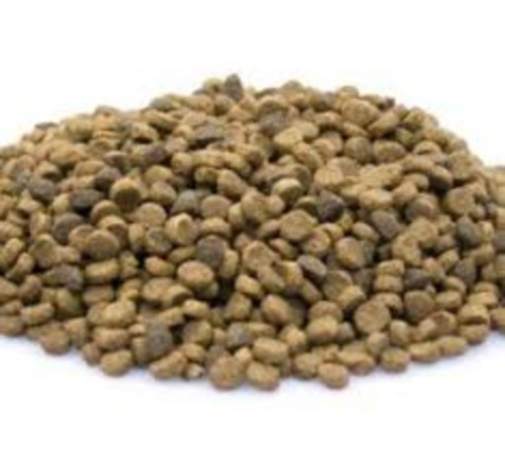hondenbrokken high energy 15kg sportbrok, Verzenden, Hond
