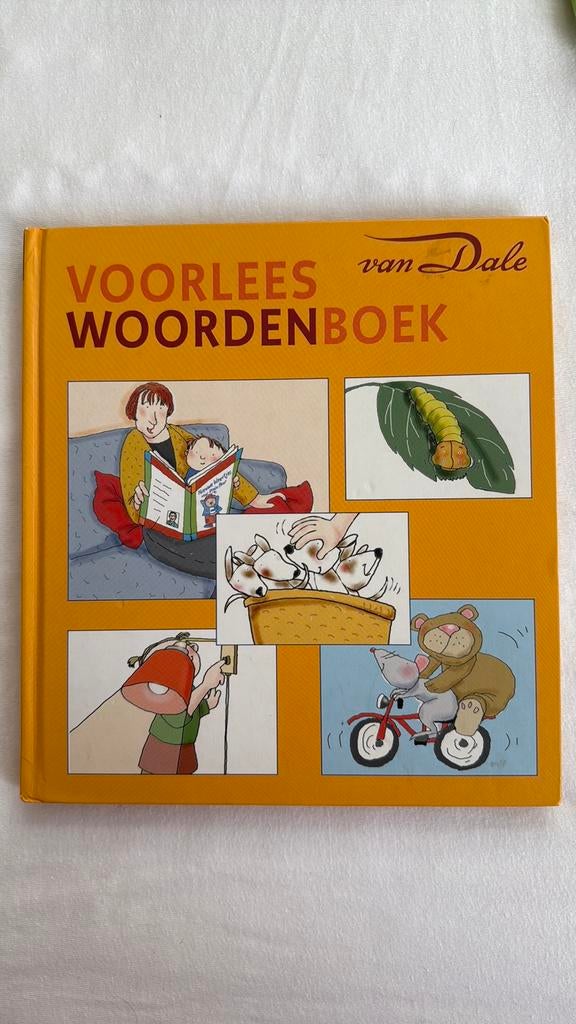 Dictionnaire de lecture Van Dale en néerlandais en bon état., Livres, Garçon ou Fille, Enlèvement ou Envoi, Van dale, Utilisé