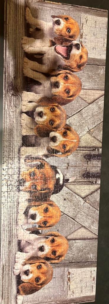 Puzzel hondjes 1000 stuks, Enlèvement, Comme neuf