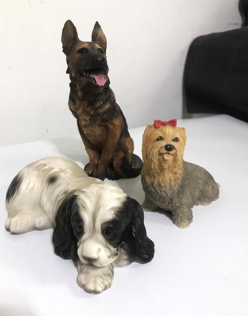 Cocker Spaniel Anglais Yorkshire 😍🐶🐶💑🎁🤗👌, Enlèvement ou Envoi, Marqué