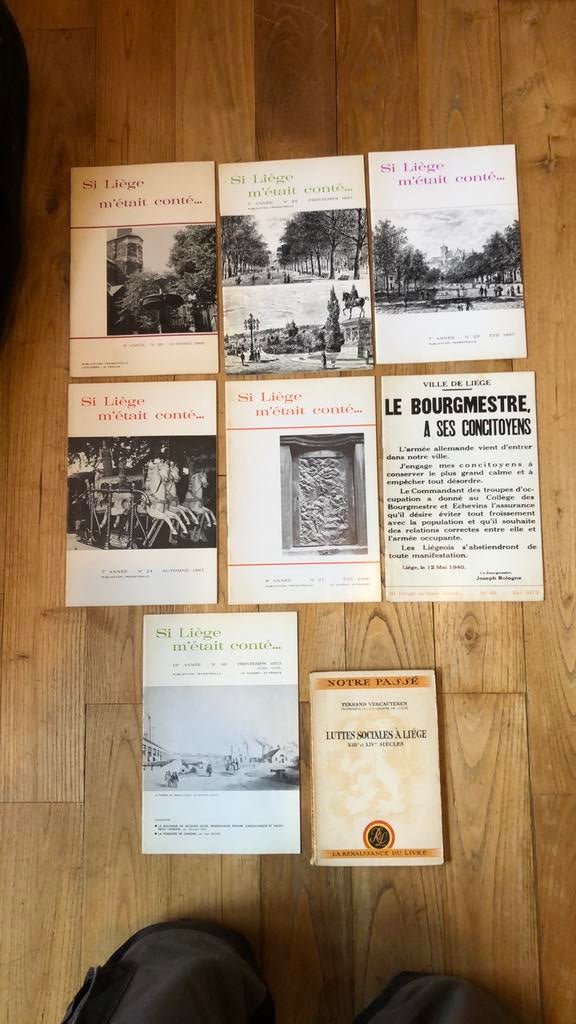 Tijdschriften en boeken stad Luik, Boeken, Ophalen of Verzenden, Gelezen