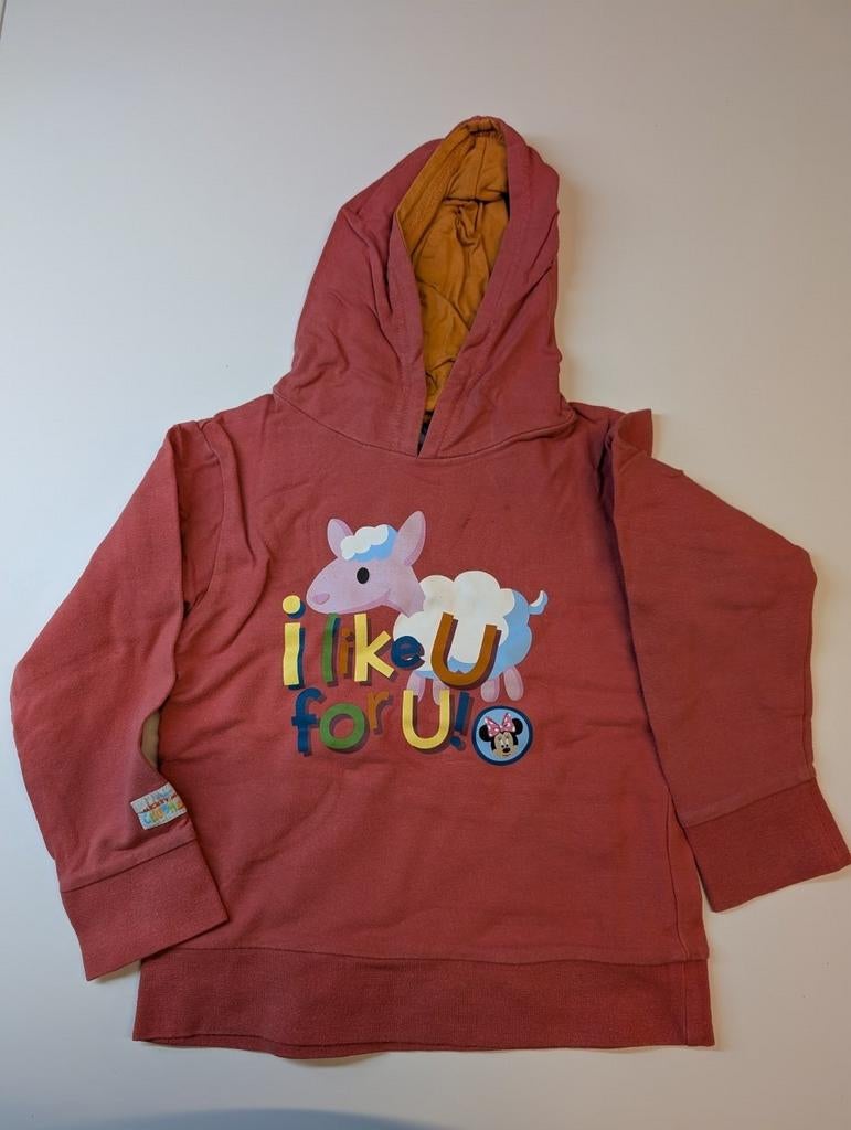 Disney Minnie Mouse sweater met kap maat 110, Kinderen en Baby's, Kinderkleding | Maat 110, Disney, Meisje, Overhemd of Blouse