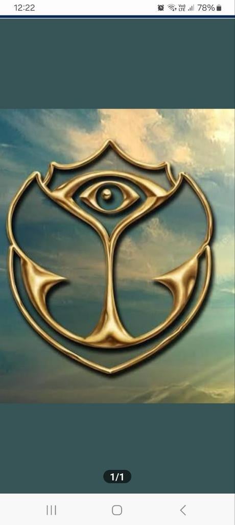 Tomorrowland ticket vrijdag W1 gezocht, Tickets en Kaartjes, Evenementen en Festivals