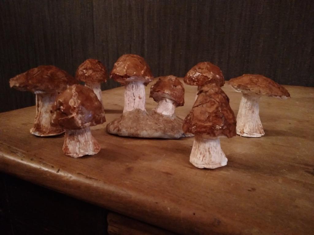 Paddenstoelen decoratie. Handmade!!!, Antiek en Kunst, Verzenden
