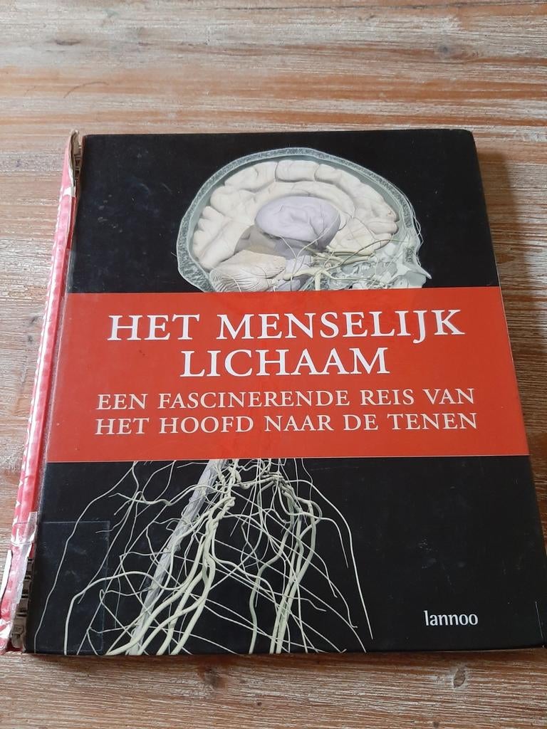 Boek Het menselijk lichaam, Ophalen, Gelezen